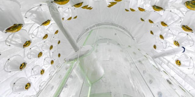 Photo of the outer detector of the LZ dark matter experiment