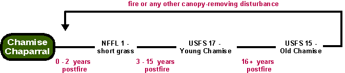 Chamise Postfire Succession