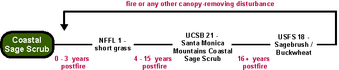 Coastal Sage Scrub Postfire Succession