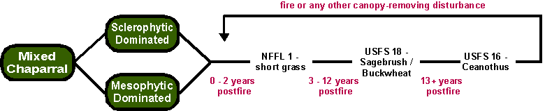 Northern Mixed Chaparral Postfire Succession