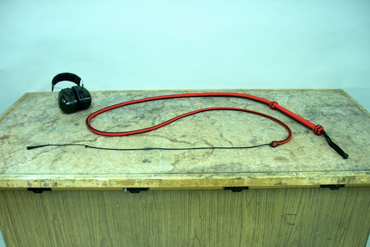 Bullwhip Bullwhip