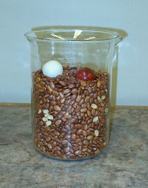 Balls in beans
