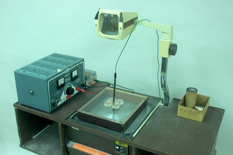 Compasses around current-carrying wire
