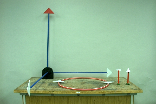 Vector models