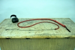 New demonstrations -- Bullwhip