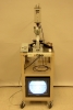 New demonstrations -- Magnetotactic bacteria